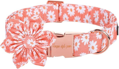 Unique style paws Dog Collar with Flower Tie