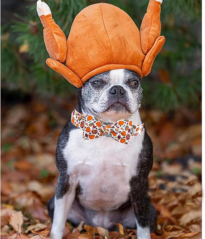 Elegant little tail Tanksgiving Dog Collar