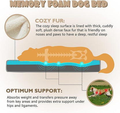 Medium Dog Beds for Medium Dogs