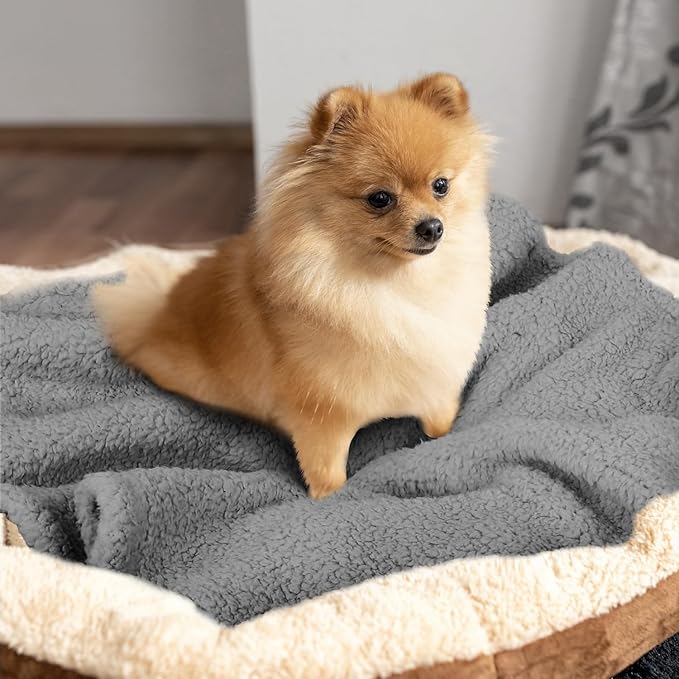 furrybaby Dog Blanket Soft Dog Blankets for Small Dogs Puppy Essentials Washable Sherpa Fleece Cat Blanket 24x32 Inches for Bed Furniture Couch Sofa (Small