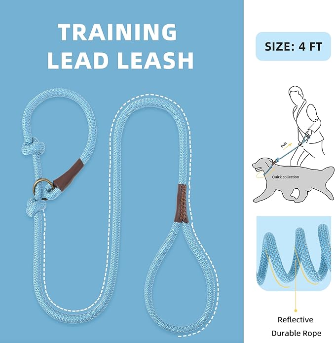 Mile High Life Slip Leads for Dogs 4 Feet