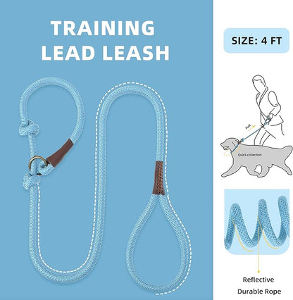 Mile High Life Slip Leads for Dogs 4 Feet