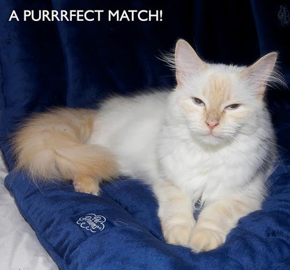 Pet Dreams Dog Crate Pad is The Original Dog Crate Bed 42 Inch)