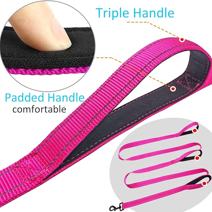 3 Handle Dog Leash 10FT Triple