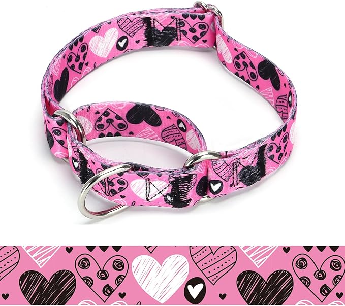 Martingale Dog Collars - Flower Multicolor Cute Patterns, Adjustable Nylon Training Dog Collar Suitable for Boy and Girl Dogs Medium Large Dogs (16, M)