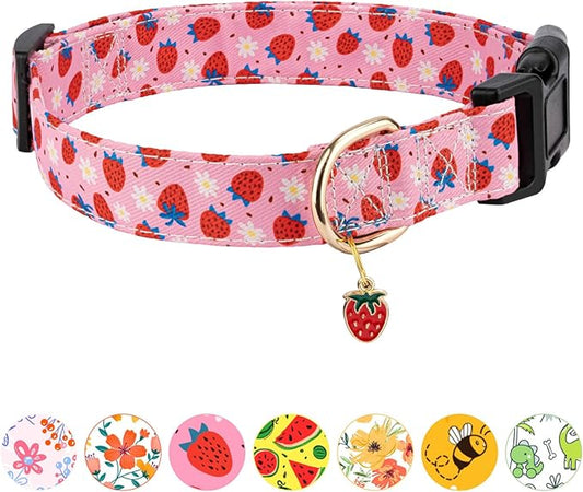Dog Collar
