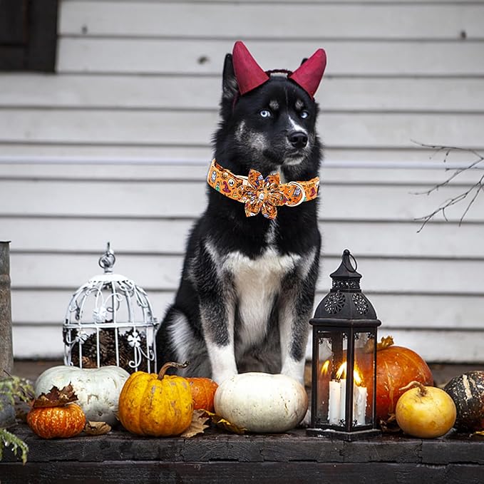 Elegant little tail Halloween Dog Collar