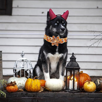 Elegant little tail Halloween Dog Collar