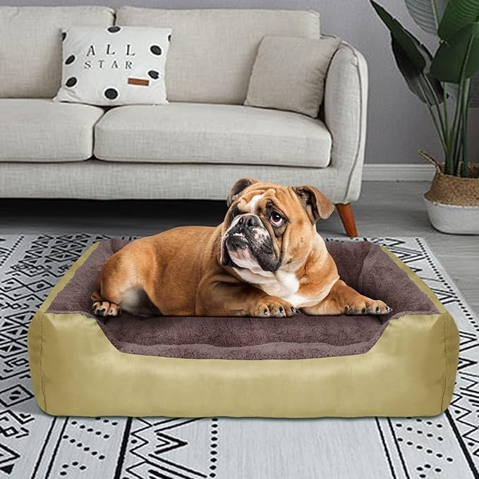 PUPPBUDD Dog Beds for Medium Dogs