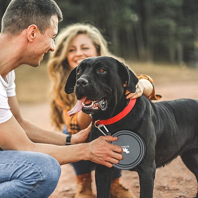 Collapsible Dog Bowls for Travel, 2-Pack Dog Portable Water Bowl for Dogs Cats Pet Foldable Feeding Watering Dish for Traveling Camping Walking with 2 Carabiners, BPA Free