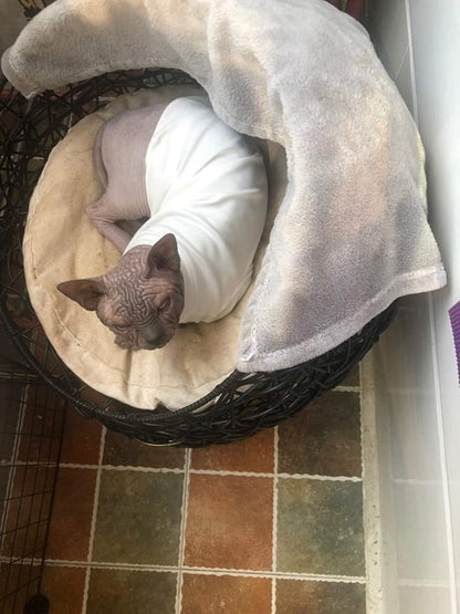 Sphynx Hairless Cat Cotton Tshirts Pet Clothes