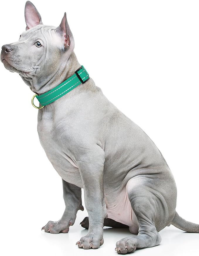 Reflective Dog Collar