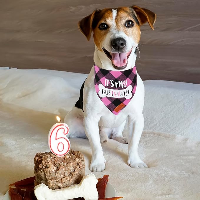 PTDECOR Dog Birthday Party Supplies