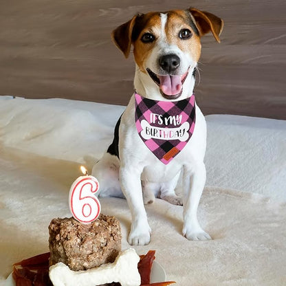 PTDECOR Dog Birthday Party Supplies