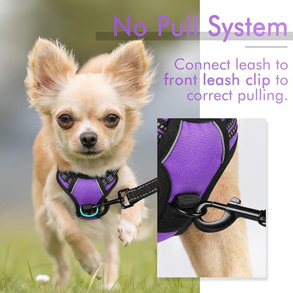 rabbitgoo Dog Harness 2 Leash