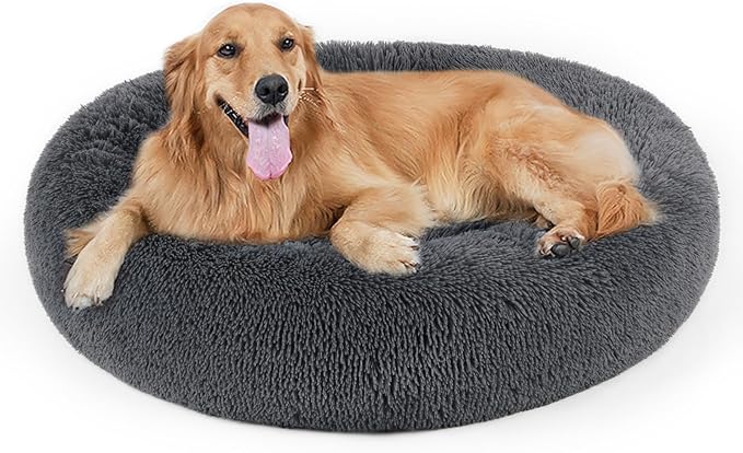 Dog Bed