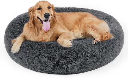 Dog Bed