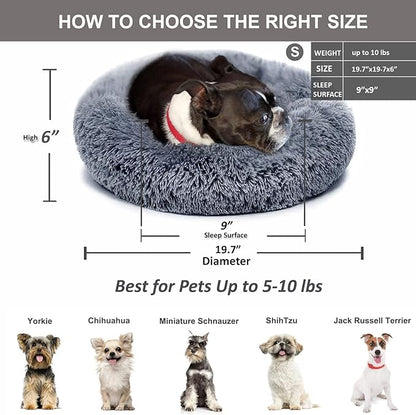 Small Calming Dogs Bed for Small Dogs Anti-Anxiety