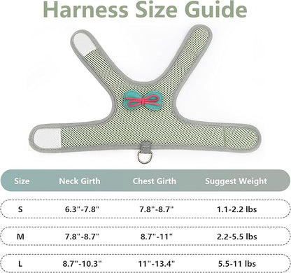 AIITLE Rabbit Harness and Leash Set with Cute Bow