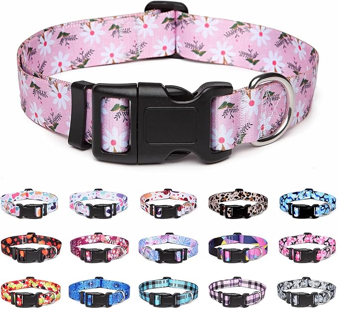 Adjustable Dog Collar with Patterns