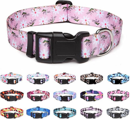 Adjustable Dog Collar with Patterns