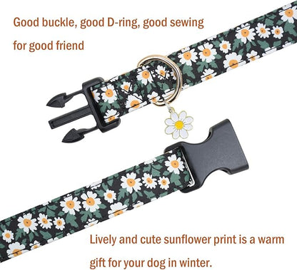 Flower Patterns Dog Collar with Accessories