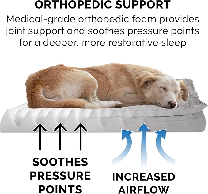 Furhaven Orthopedic Dog Bed for Large/Medium Dogs w/ Pillow Cushion Top & Removable Washable Cover 55 lbs