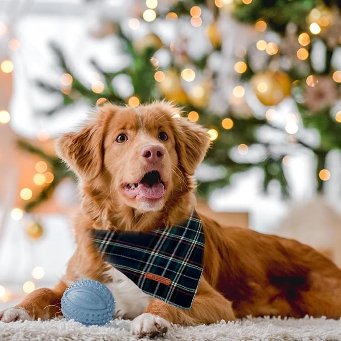 Christmas Day Dog Bandana Red Green Plaid Cotton