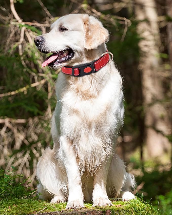 Reflective Dog Collar