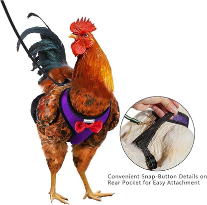 Chicken Harness Hen Size with 6ft Matching Leash – Adjustable, Resilient, Comfortable, Breathable, Small, Suitable for Chicken Weighing About 2.2 Pound,red (Months, Purple)