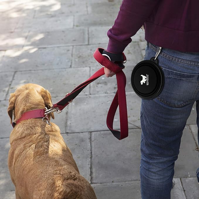 Collapsible Dog Bowls for Travel, 2-Pack Dog Portable Water Bowl for Dogs Cats Pet Foldable Feeding Watering Dish for Traveling Camping Walking with 2 Carabiners, BPA Free