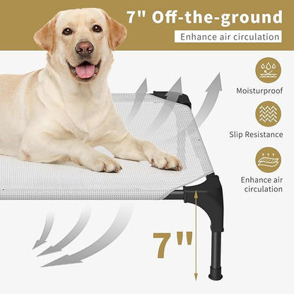 Cooling Elevated Dog Bed