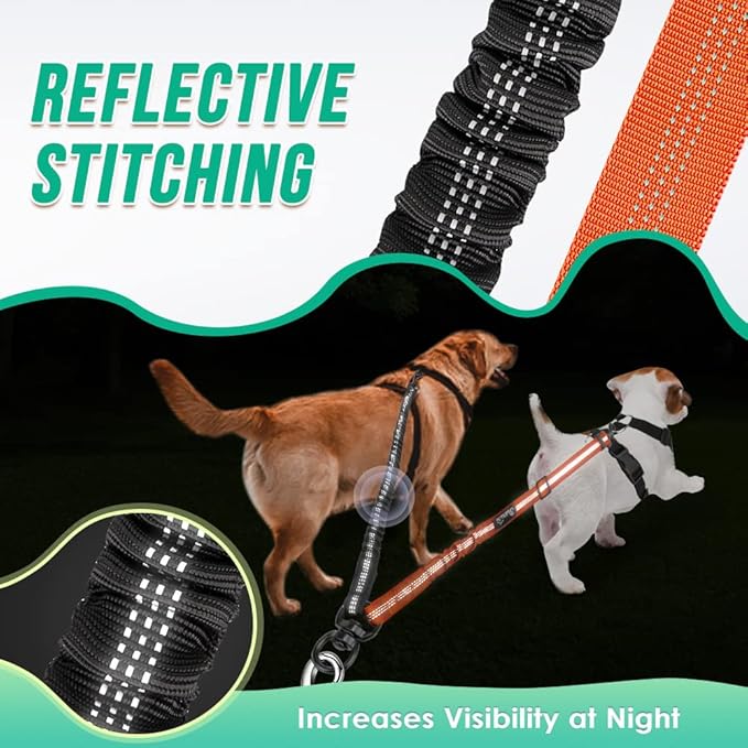 Two Dog Lead 2 in 1 Upgraded