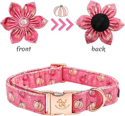 Elegant little tail Dog Collar with Flower