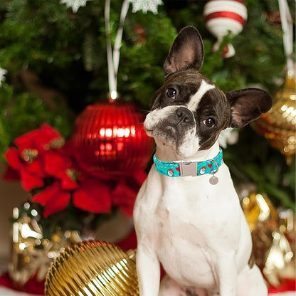 Christmas Dog Collar 16-24in