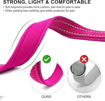 azuza Reflective Dog Collar