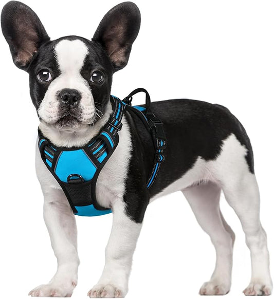 rabbitgoo Dog Harness, No-Pull Pet Harness with 2 Leash Clips, Adjustable Soft Padded Dog Vest, Reflective No-Choke Pet Oxford Vest with Easy Control Handle for Small Dogs, Blue, S