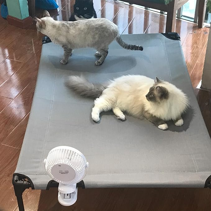 Cooling Elevated Dog Bed 6-Inch Portable