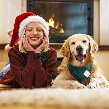 E-Clover Dog Bandanas Boy & Matching Scrunchie Set