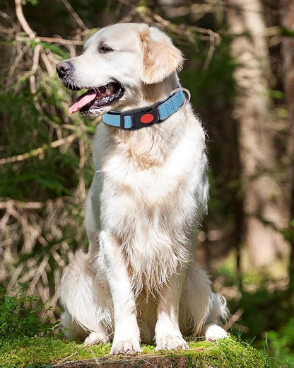 Reflective Dog Collar