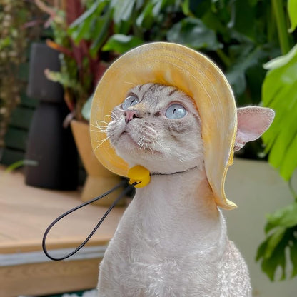 Pet hat with Ear Holes Sunscreen Baseball Cap Suitable for Small and Medium-Sized Dogs Outdoor Climbing hat in Summer Pet Products (Large