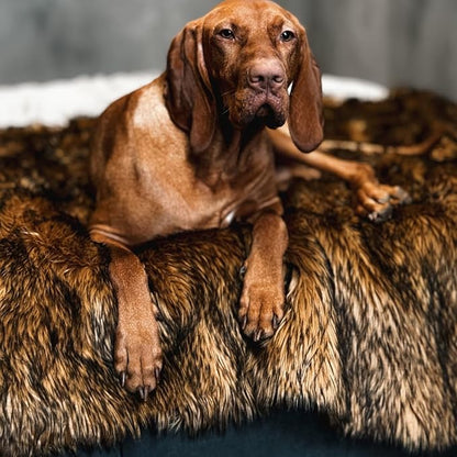 Waterproof Throw Blanket, Pet Bed Blanket for Dogs and Cats, Plush Fur Throw for Sleeping, Whelping, and Comfort, Furniture Protection, Stain Resistant Surface, Machine Washable (Brown, 60x80")