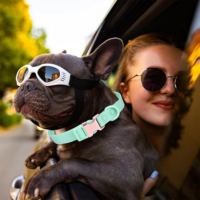 Waterproof Dog Collar with Safety Metal Buckle