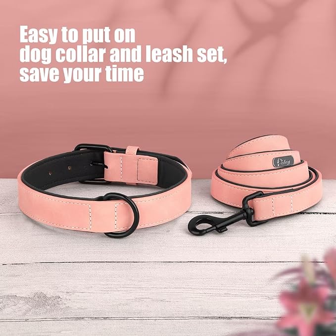 Didog Soft Padded Leather Dog Collar and Leash Set 4FT Leather
