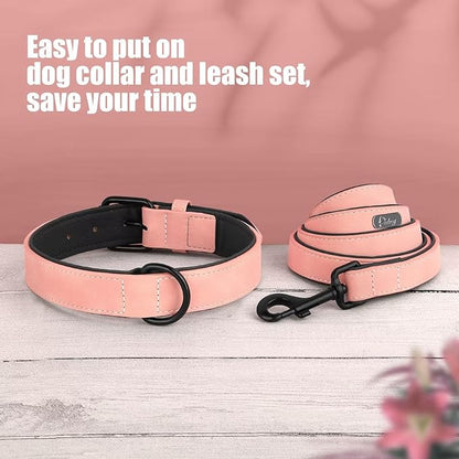 Didog Soft Padded Leather Dog Collar and Leash Set 4FT Leather