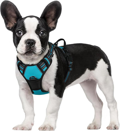 rabbitgoo Dog Harness, No-Pull Pet Harness with 2 Leash Clips, Adjustable Soft Padded Dog Vest, Reflective No-Choke Pet Oxford Vest with Easy Control Handle for Large Dogs, Teal, S