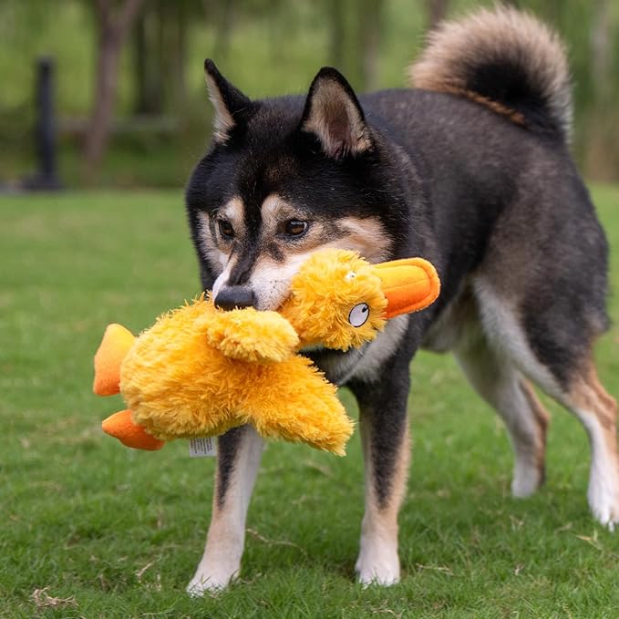 Best Pet Supplies Ducky Doodle Squeaky Crinkle Plush Toy for Small and Medium Breed Puppies or Dogs – Ducky Doodle (Gold), Medium