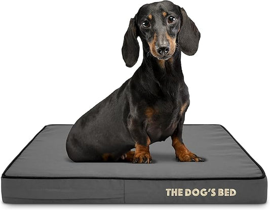 The Dog’s Bed Orthopedic Memory Foam Dog Bed 28x19, Pain