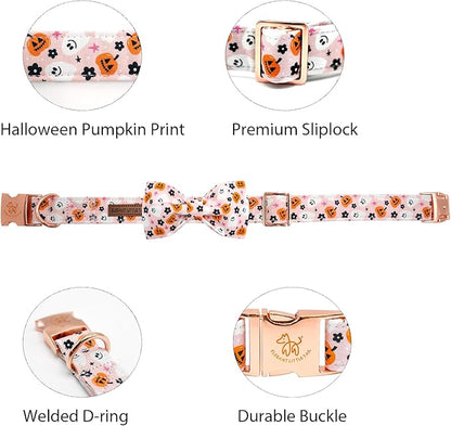 Elegant little tail Fall Dog Collar