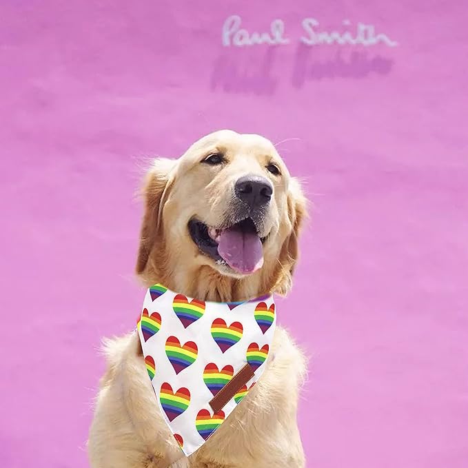 Realeaf Rainbow Dog Bandanas 2 Pack